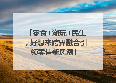 零食+潮玩+民生，好想来跨界融合引领零售新风潮