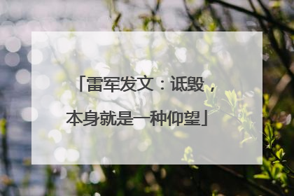 雷军发文：诋毁，本身就是一种仰望
