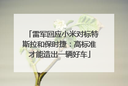 雷军回应小米对标特斯拉和保时捷：高标准才能造出一辆好车