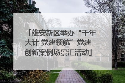雄安新区举办“千年大计 党建领航”党建创新案例场景汇活动