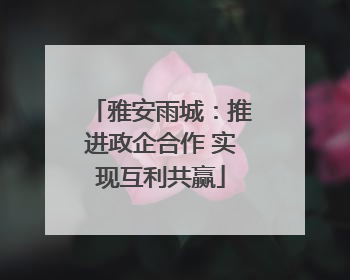 雅安雨城：推进政企合作 实现互利共赢