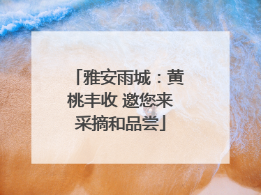 雅安雨城：黄桃丰收 邀您来采摘和品尝