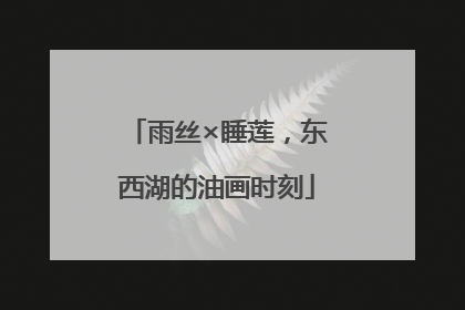 雨丝×睡莲，东西湖的油画时刻
