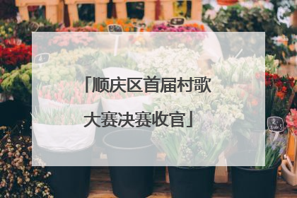 顺庆区首届村歌大赛决赛收官