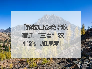 颗粒归仓稳增收 宿迁“三夏”农忙跑出加速度