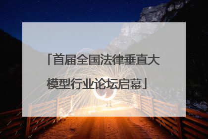 首届全国法律垂直大模型行业论坛启幕