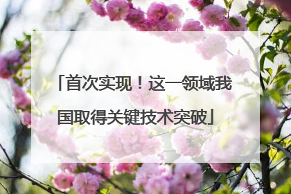 首次实现！这一领域我国取得关键技术突破