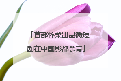 首部怀柔出品微短剧在中国影都杀青
