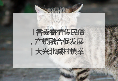 香囊寄情传民俗，产镇融合促发展｜大兴北臧村镇举办端午主题活动