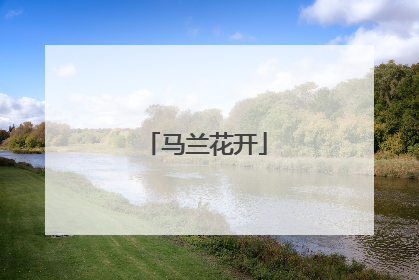 马兰花开