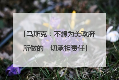 马斯克：不想为美政府所做的一切承担责任