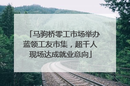 马驹桥零工市场举办蓝领工友市集，超千人现场达成就业意向