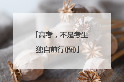 高考，不是考生独自前行(图)