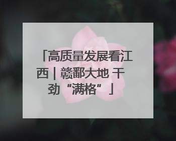 高质量发展看江西｜赣鄱大地 干劲“满格”