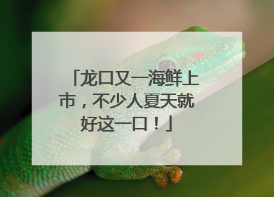 龙口又一海鲜上市，不少人夏天就好这一口！