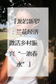 龙岩新罗：兰花经济激活乡村振兴“一池春水”