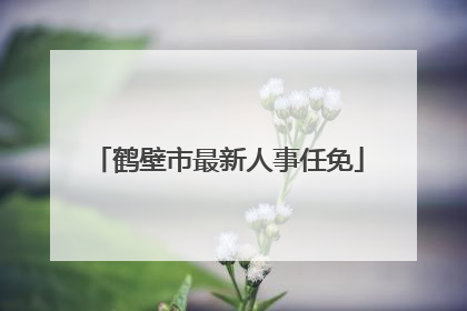 鹤壁市最新人事任免