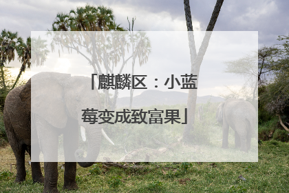 麒麟区：小蓝莓变成致富果