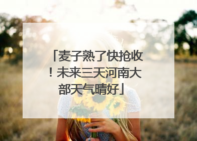 麦子熟了快抢收！未来三天河南大部天气晴好