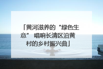 黄河滋养的“绿色生意” 唱响长清区沿黄村的乡村振兴曲