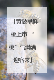 黄陂早鲜桃上市 “桃”气满满迎客来