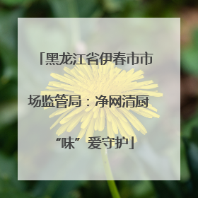 黑龙江省伊春市市场监管局：净网清厨 “味”爱守护