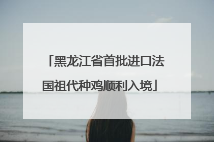 黑龙江省首批进口法国祖代种鸡顺利入境