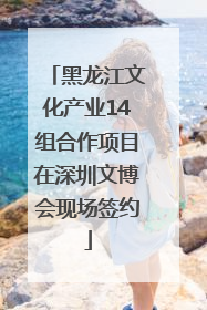 黑龙江文化产业14组合作项目在深圳文博会现场签约