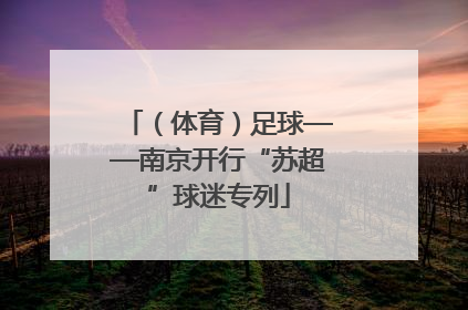 （体育）足球——南京开行“苏超”球迷专列