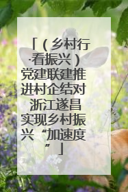 （乡村行·看振兴）党建联建推进村企结对 浙江遂昌实现乡村振兴“加速度”