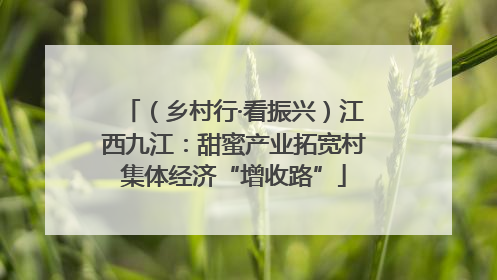 （乡村行·看振兴）江西九江：甜蜜产业拓宽村集体经济“增收路”