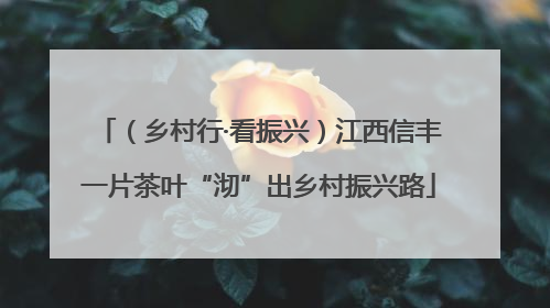 （乡村行·看振兴）江西信丰一片茶叶“沏”出乡村振兴路
