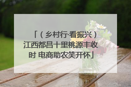 （乡村行·看振兴）江西都昌十里桃源丰收时 电商助农笑开怀