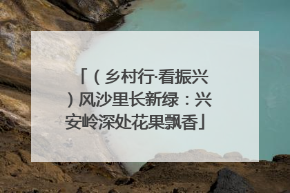 （乡村行·看振兴）风沙里长新绿：兴安岭深处花果飘香