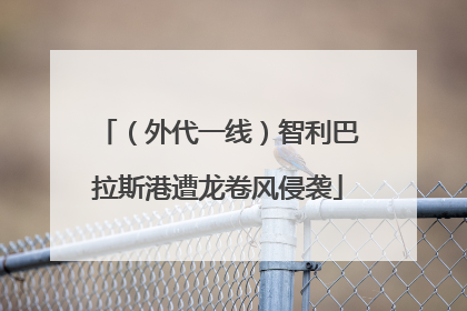 （外代一线）智利巴拉斯港遭龙卷风侵袭