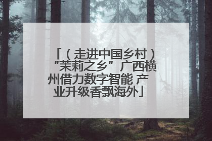（走进中国乡村）“茉莉之乡”广西横州借力数字智能 产业升级香飘海外