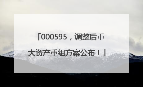 000595，调整后重大资产重组方案公布！