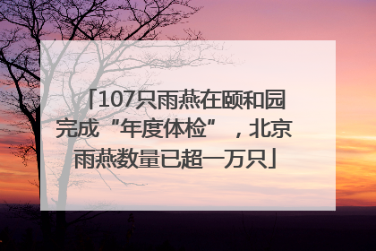 107只雨燕在颐和园完成“年度体检”，北京雨燕数量已超一万只