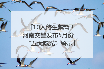 10人终生禁驾！河南交警发布5月份“五大曝光”警示