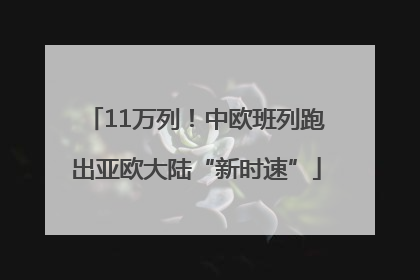 11万列！中欧班列跑出亚欧大陆“新时速”