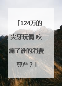 124万的尖牙玩偶 咬痛了谁的消费尊严？