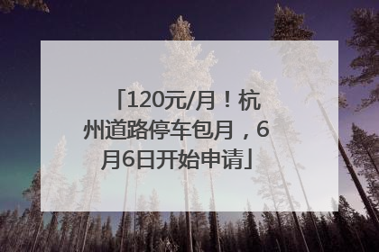 120元/月！杭州道路停车包月，6月6日开始申请