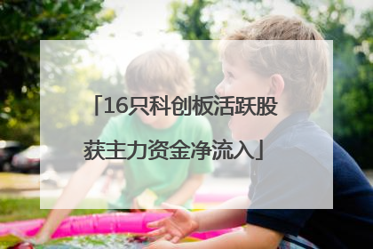 16只科创板活跃股获主力资金净流入