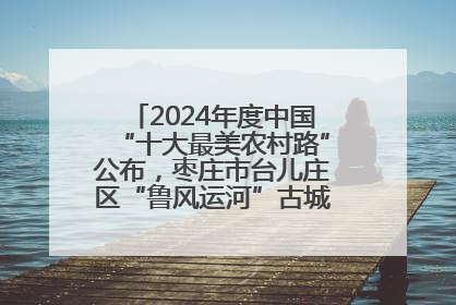 2024年度中国“十大最美农村路”公布，枣庄市台儿庄区“鲁风运河”古城文化廊道上榜！