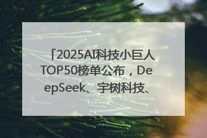 2025AI科技小巨人TOP50榜单公布，DeepSeek、宇树科技、蘑菇车联等企业荣誉上榜