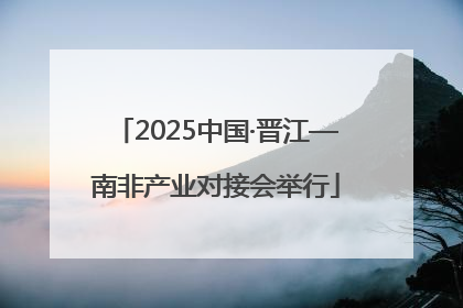 2025中国·晋江—南非产业对接会举行