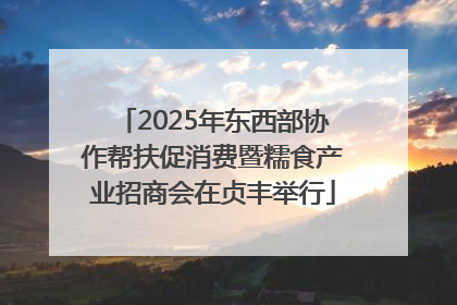 2025年东西部协作帮扶促消费暨糯食产业招商会在贞丰举行