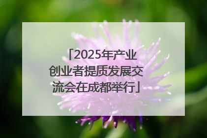 2025年产业创业者提质发展交流会在成都举行