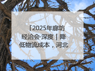 2025年廊坊经洽会·深度｜降低物流成本，河北物流集团找到一把“金钥匙”