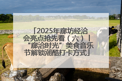 2025年廊坊经洽会亮点抢先看（六）丨“廊洽时光”美食音乐节解锁潮酷打卡方式